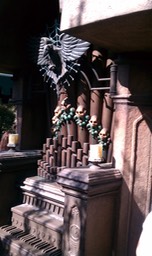 IMAG0089